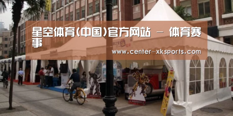 案例标题九
