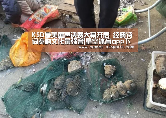 KSD最美童声决赛大幕开启 经典诗词奏响文化最强音|星空体育app下载