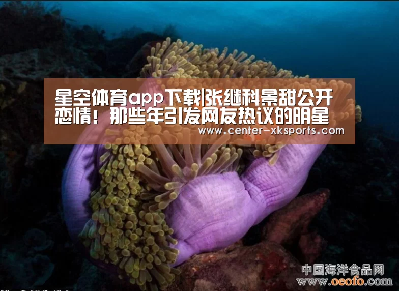 星空体育app下载|张继科景甜公开恋情！那些年引发网友热议的明星公开恋情的方式