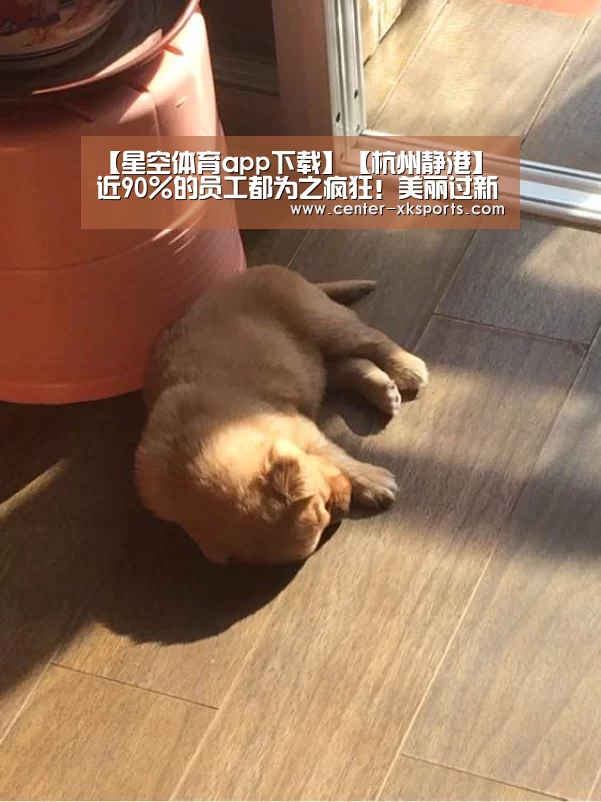 【星空体育app下载】【杭州静港】近90%的员工都为之疯狂！美丽过新年